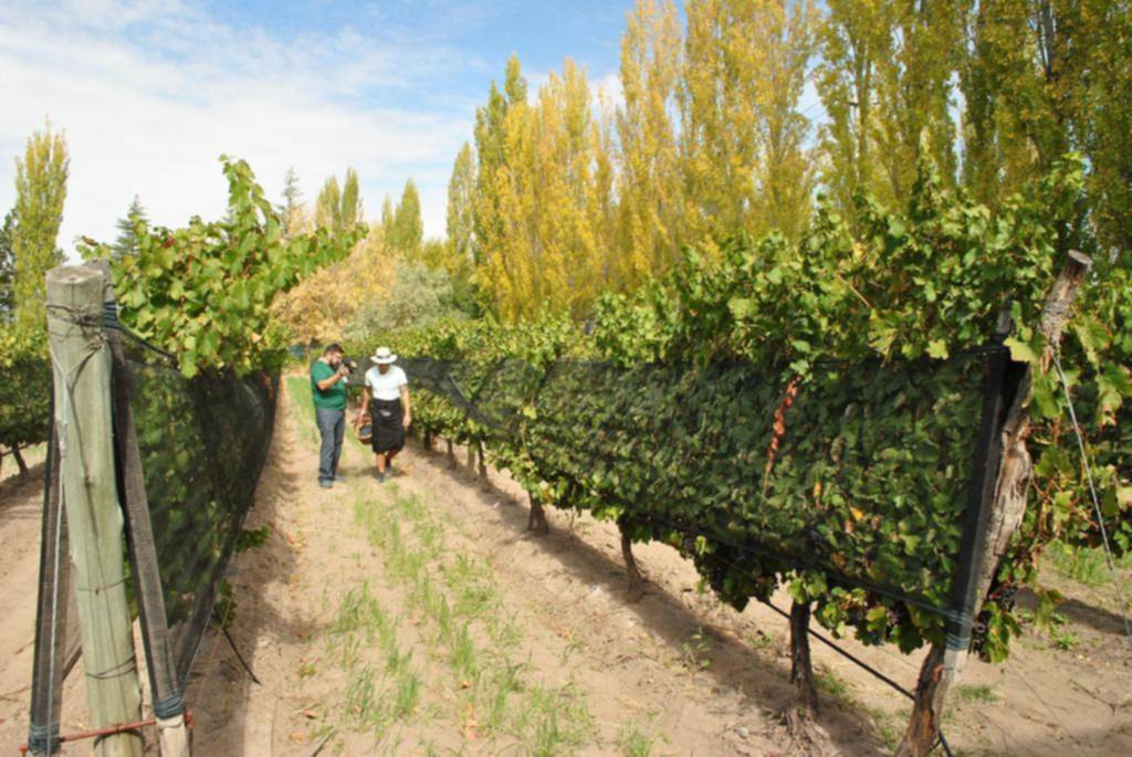 San Rafael se prepara para la llegada del invierno con atractivos especiales