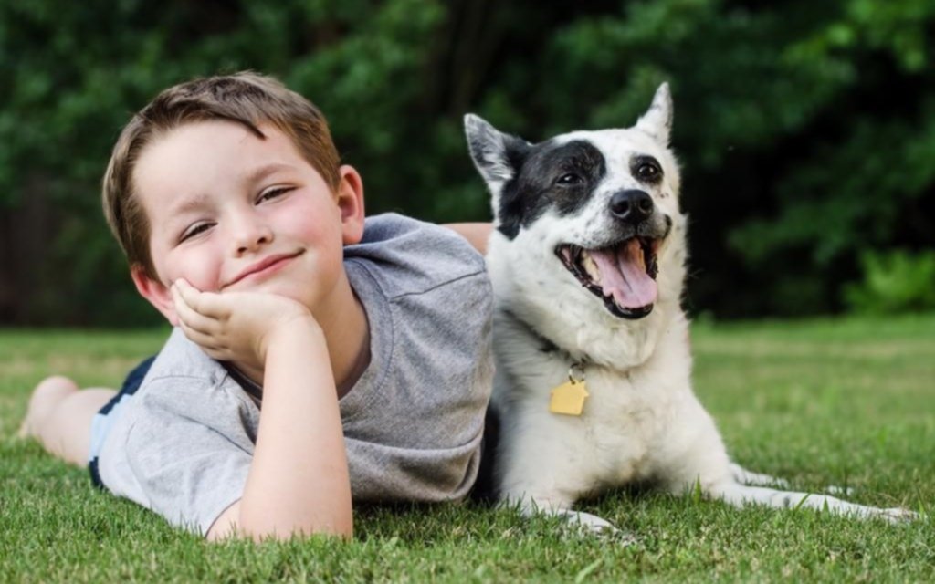 Los chicos que crecen con perros establecen mejores vínculos