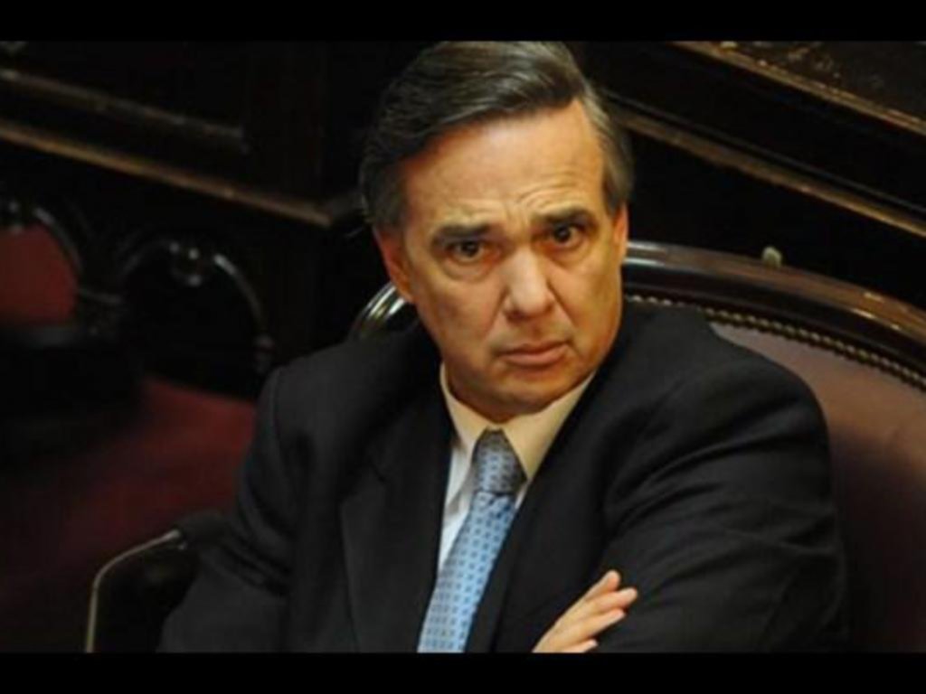 Para el senador Pichetto, el Gobierno debería “desdramatizar” el debate