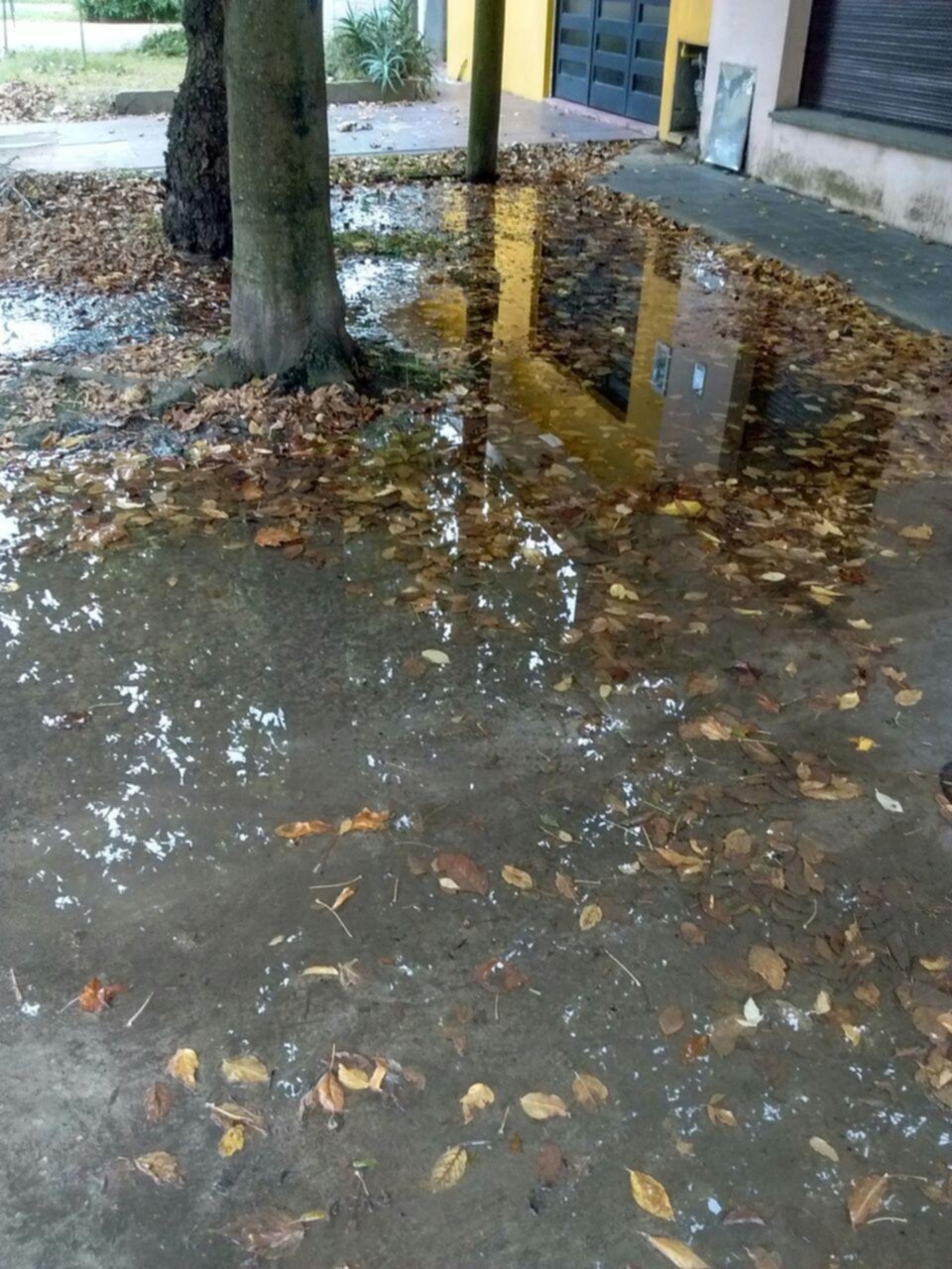 Una laguna en la vereda de 9 entre 516 y 517 de Ringuelet