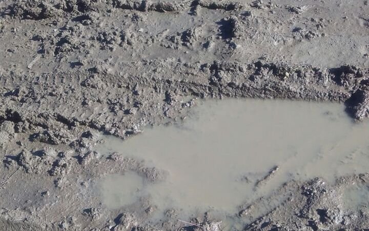 Vecinos denuncian "camino de barro" desde 135 hasta Arturo Seguí