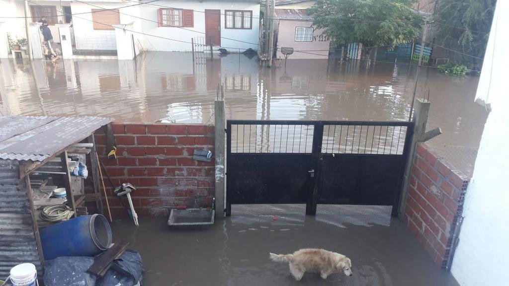 Calles como ríos y la casa llena de agua en 22 y 124