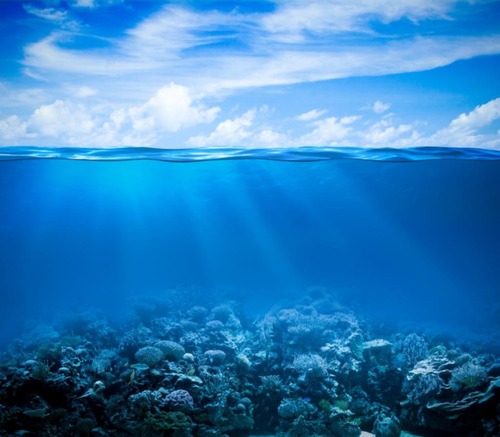 La mayoría de áreas marinas protegidas serán inhabitables