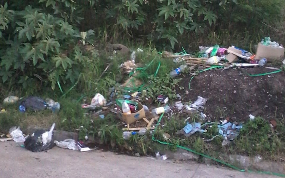 Quejas por basura en un cañaveral en el barrio de Los Hornos