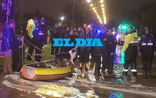 Campaña solidaria de Cáritas por los damnificados de las inundaciones