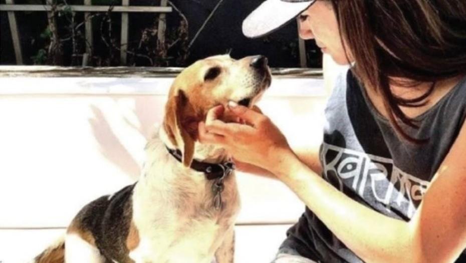 El perro de Meghan, de la calle al palacio