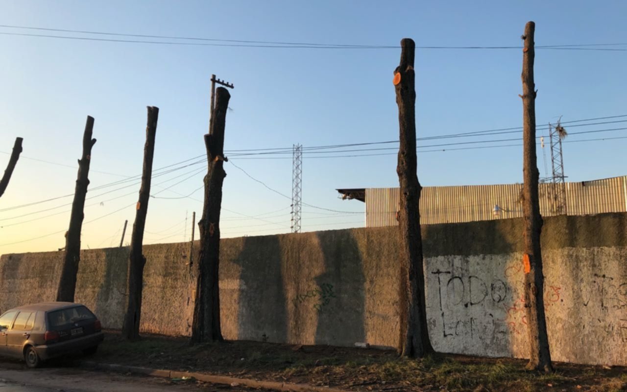 Vecinos denuncian una poda indiscriminada en Los Hornos