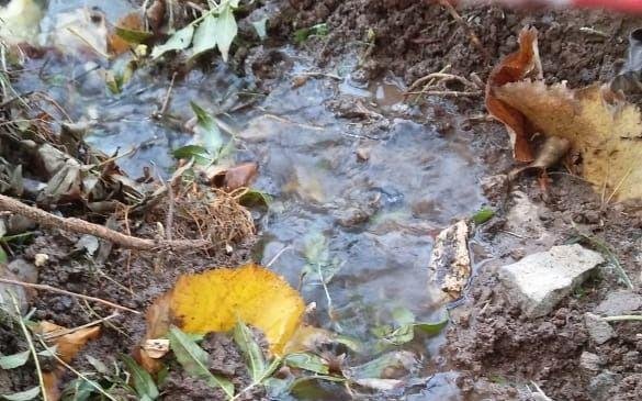 Vecinos a maltraer por una “impresionante” filtración