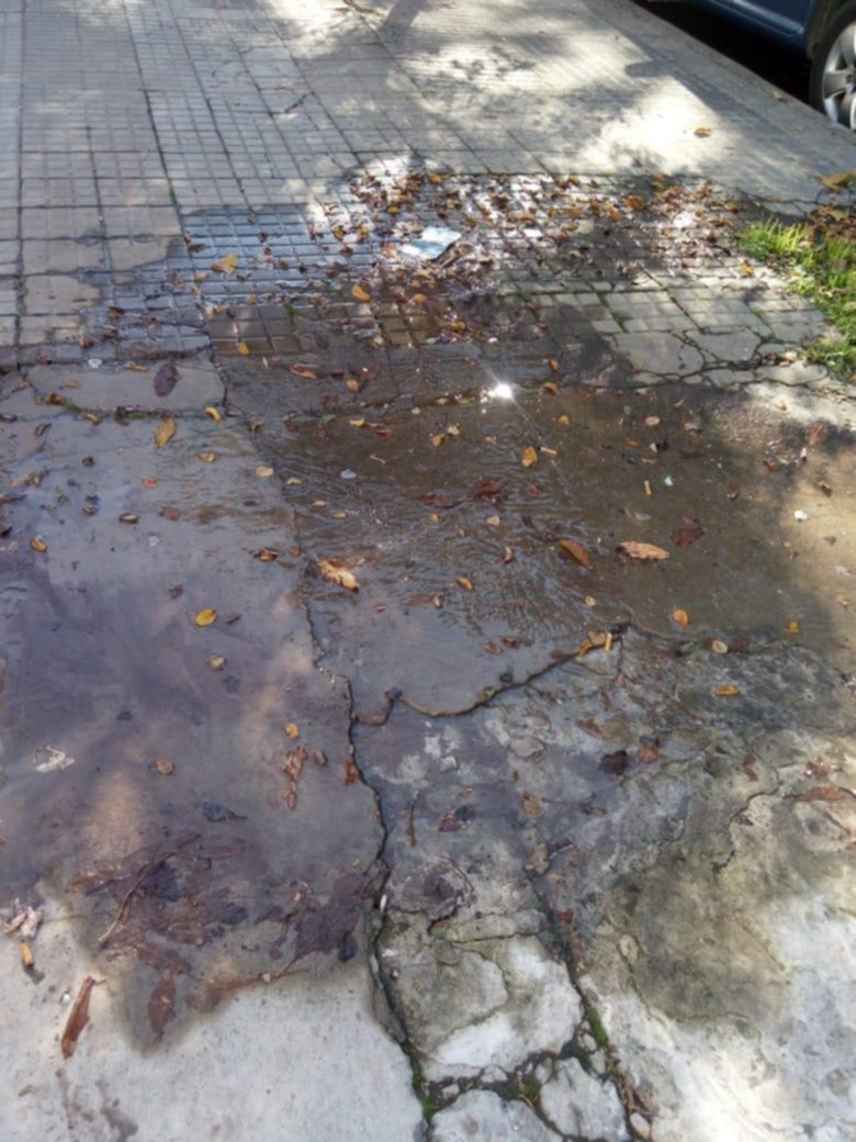 Abundante pérdida de agua complica en 17 entre 40 y 41