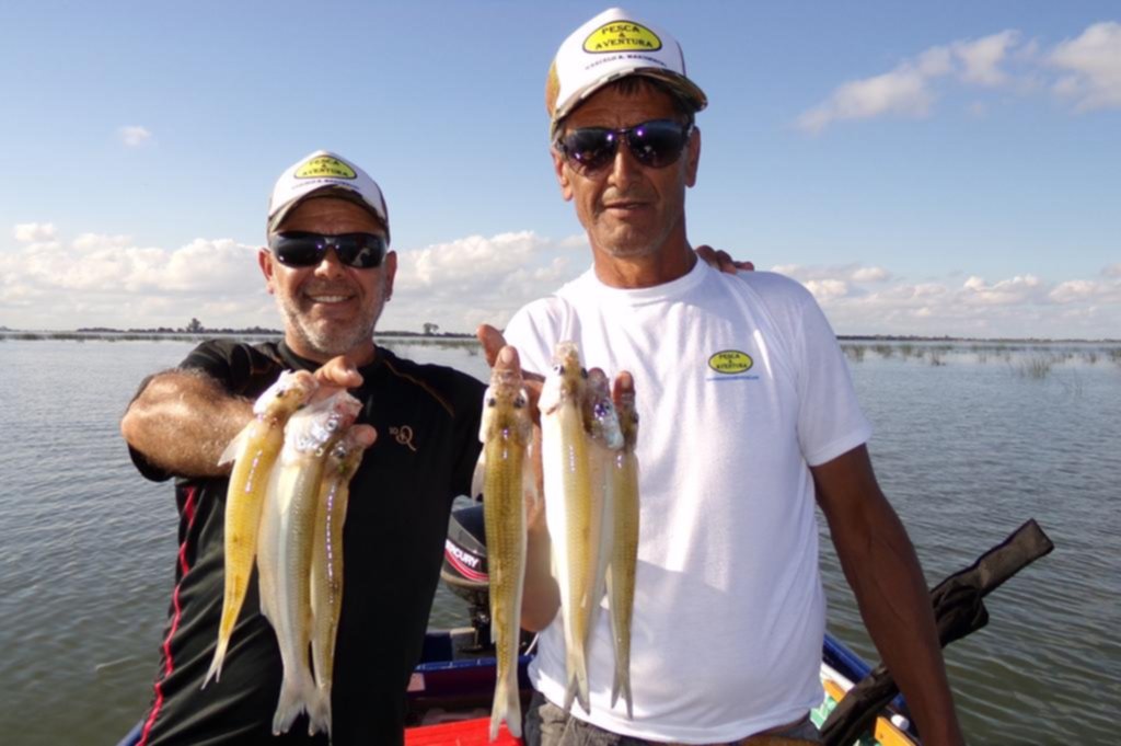 En la laguna Adela, muy cerca de La Plata, la pesca del pejerrey está dando sus frutos
