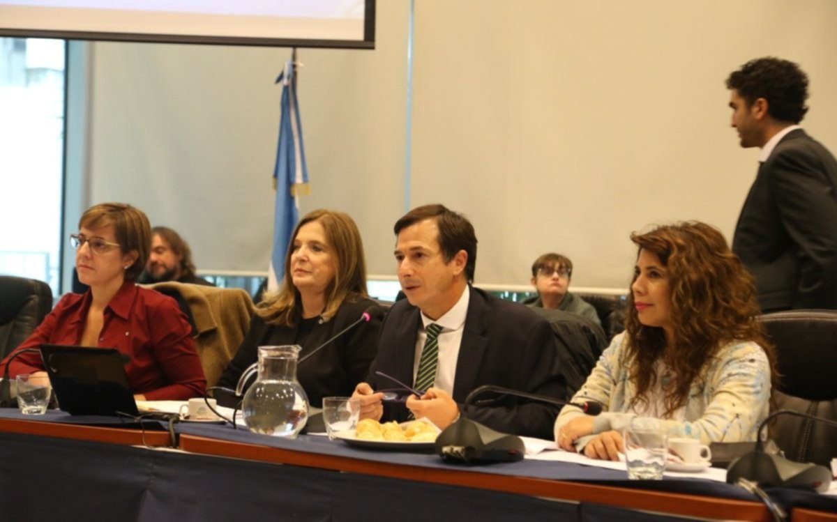 Finalizan las jornadas de debate sobre la despenalización del aborto