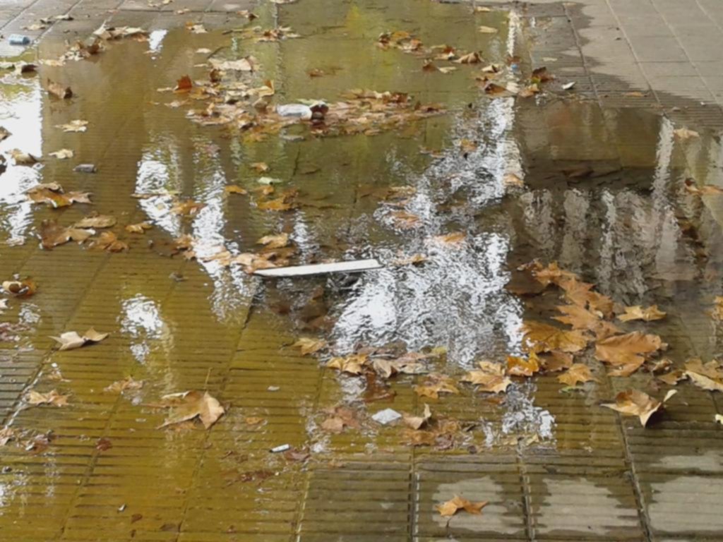 Una laguna en una vereda céntrica de la Ciudad