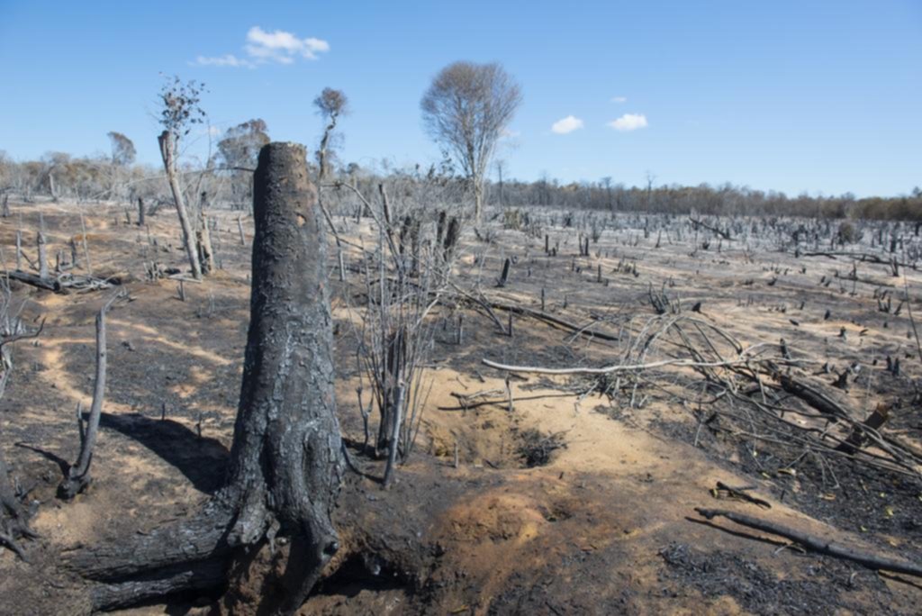 “Gran parte de la naturaleza ya está perdida y el resto en declive”