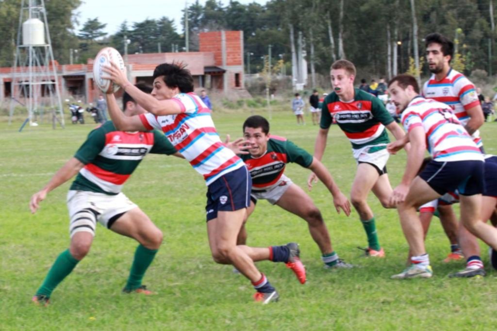 Albatros no encuentra el rumbo y volvió a caer