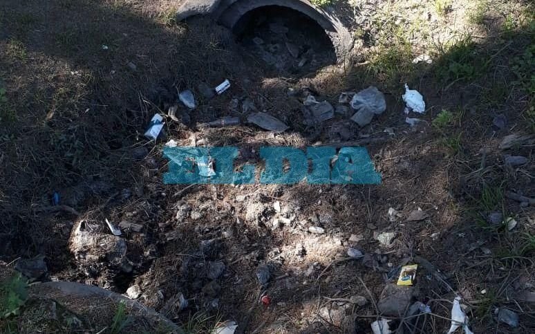Zanjón tapado por basura y pastizales en Berisso