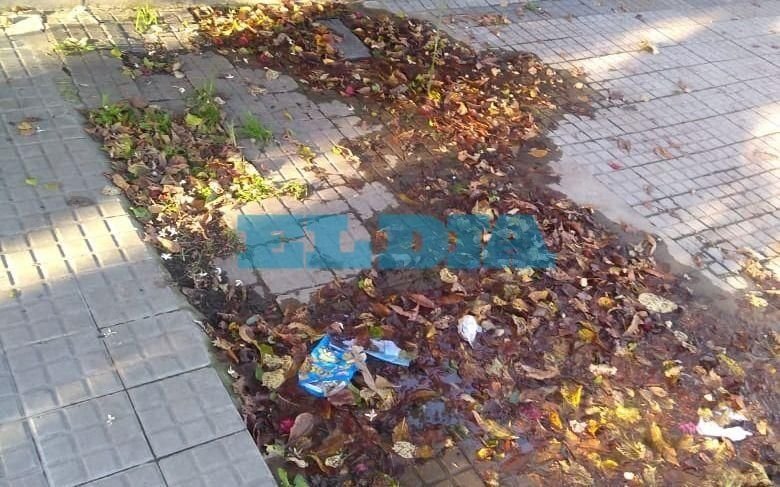 Pérdida de agua y ramas en 21 entre 44 y 45