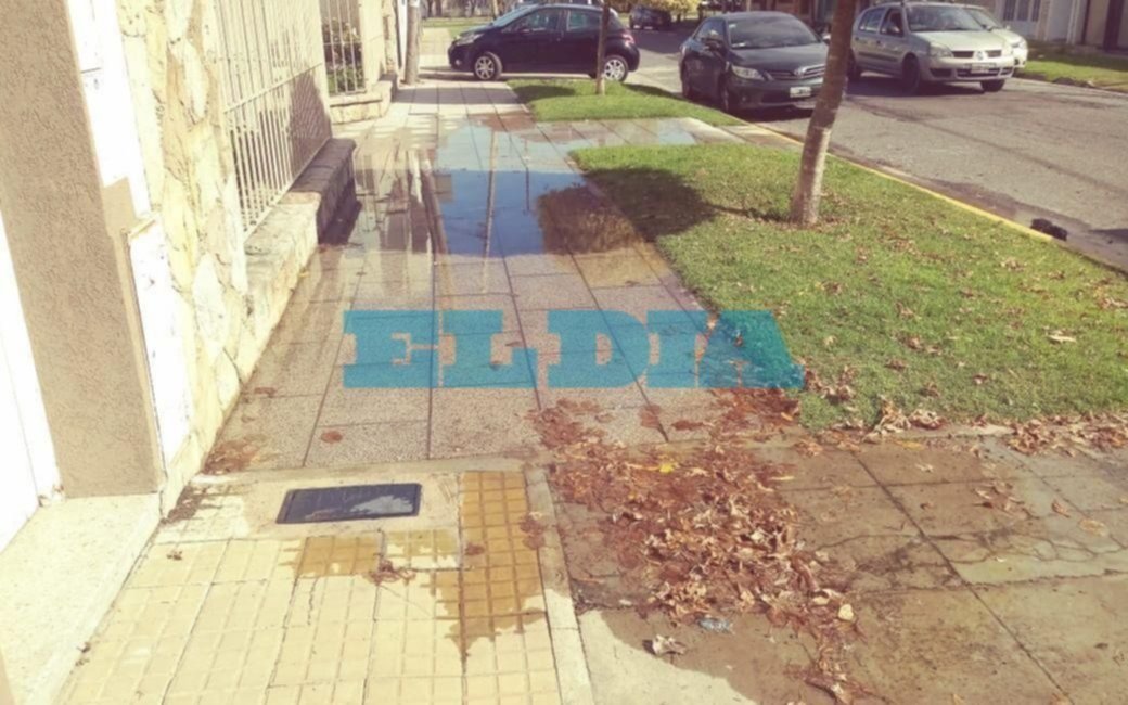 Denuncian vereda "totalmente" inundada en Tolosa