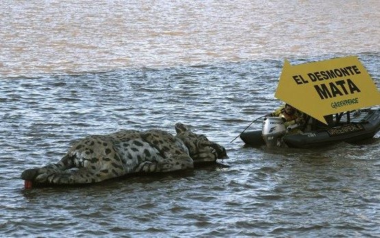 Greenpeace expone la figura de un yaguareté muerto por el desmonte en Chaco