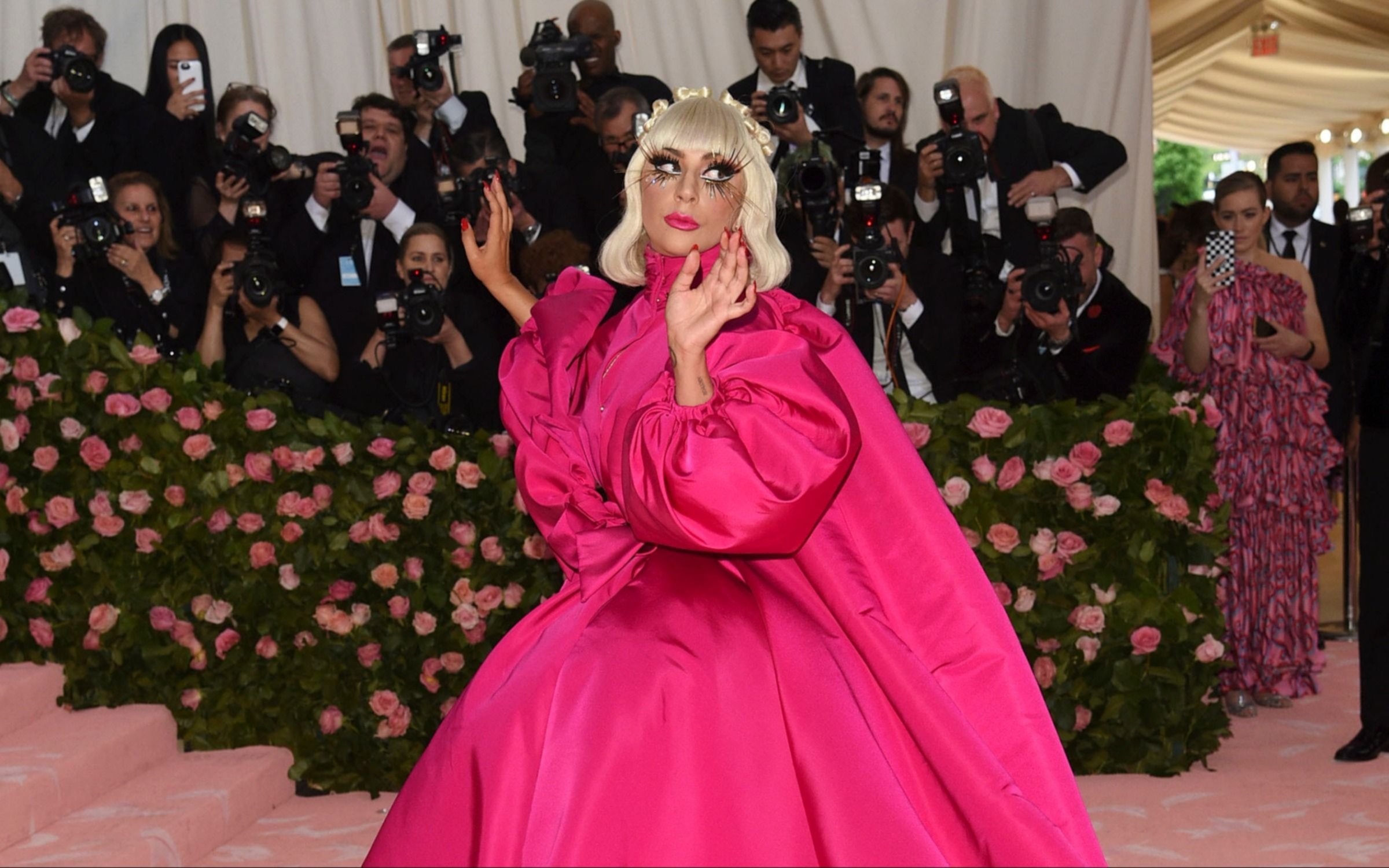 Леди Гага платье из хомяков