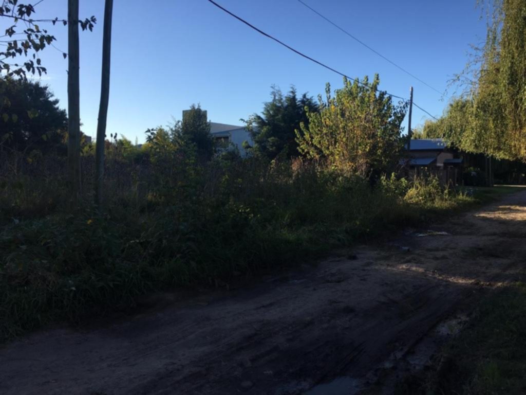 Indignados por un lote abandonado y lleno de basura