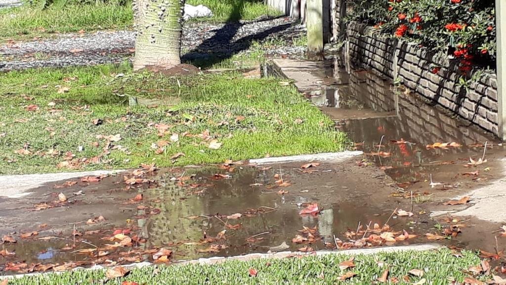 Quejas por una pérdida de agua en Gonnet