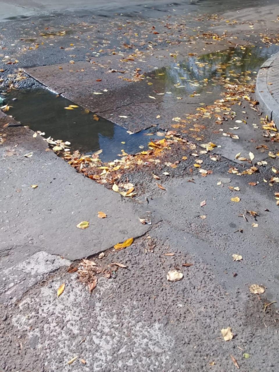 Sin agua por una cañería rota en diagonal 74 y 61