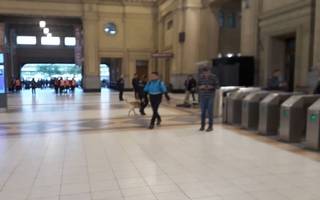 Se reanudó el servicio de trenes del Roca tras la amenaza en Constitución