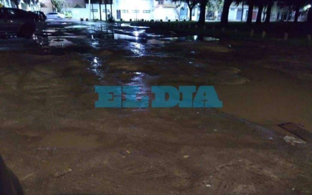 Cada vez que llueve, la zona de la estación de trenes de Tolosa es un "chiquero"