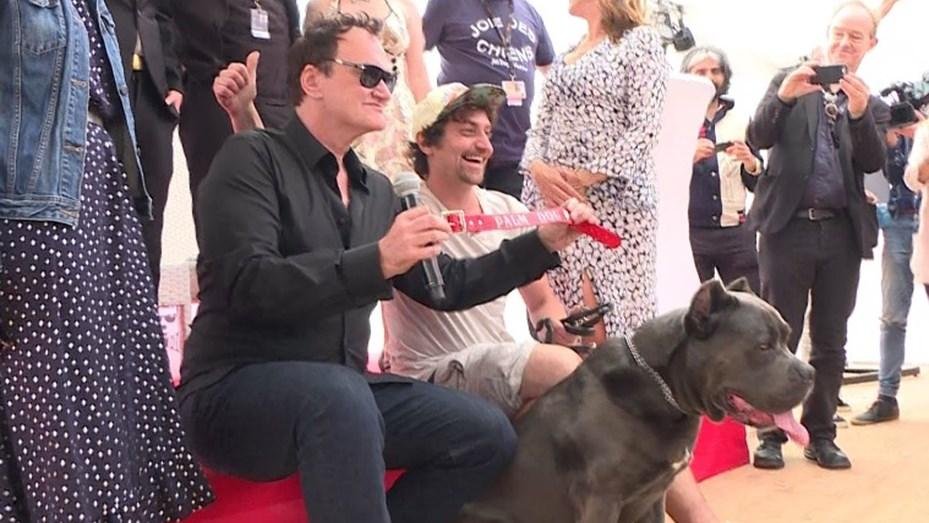 Brandy, la perrita de la nueva película de Tarantino, ganó un premio en Cannes