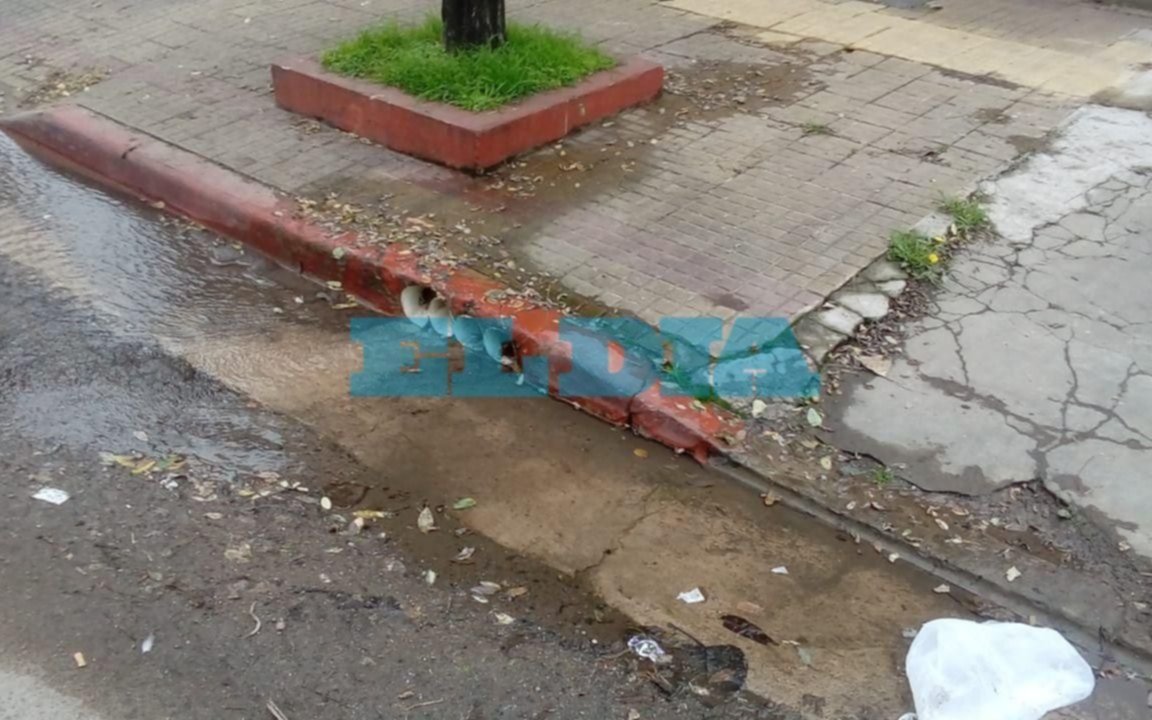 Abundante pérdida de agua en Los Hornos