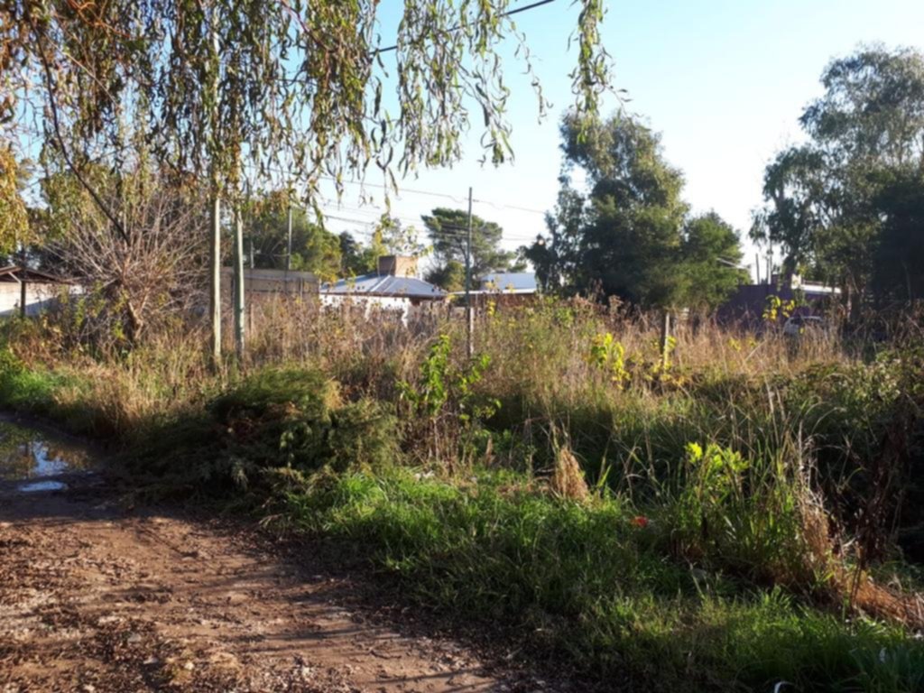 Un baldío tiene a maltraer a vecinos de la zona de 134 y 469