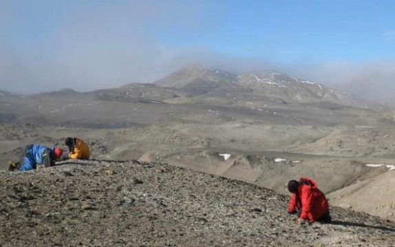 Anuncian hallazgo del primer anfibio fósil en la Antártida 