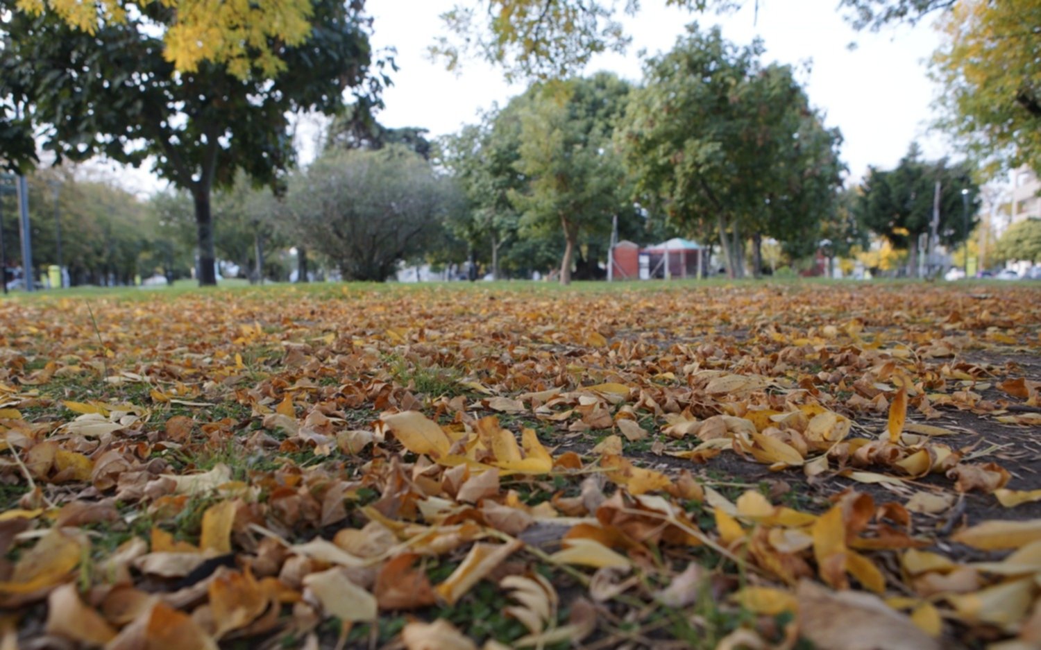 El finde en La Plata y alrededores sigue con cielo nublado y máxima de 22 grados