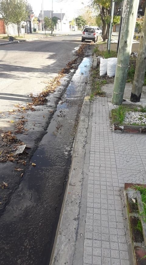Bronca vecinal en Los Hornos por una pérdida de agua que data de hace tres años