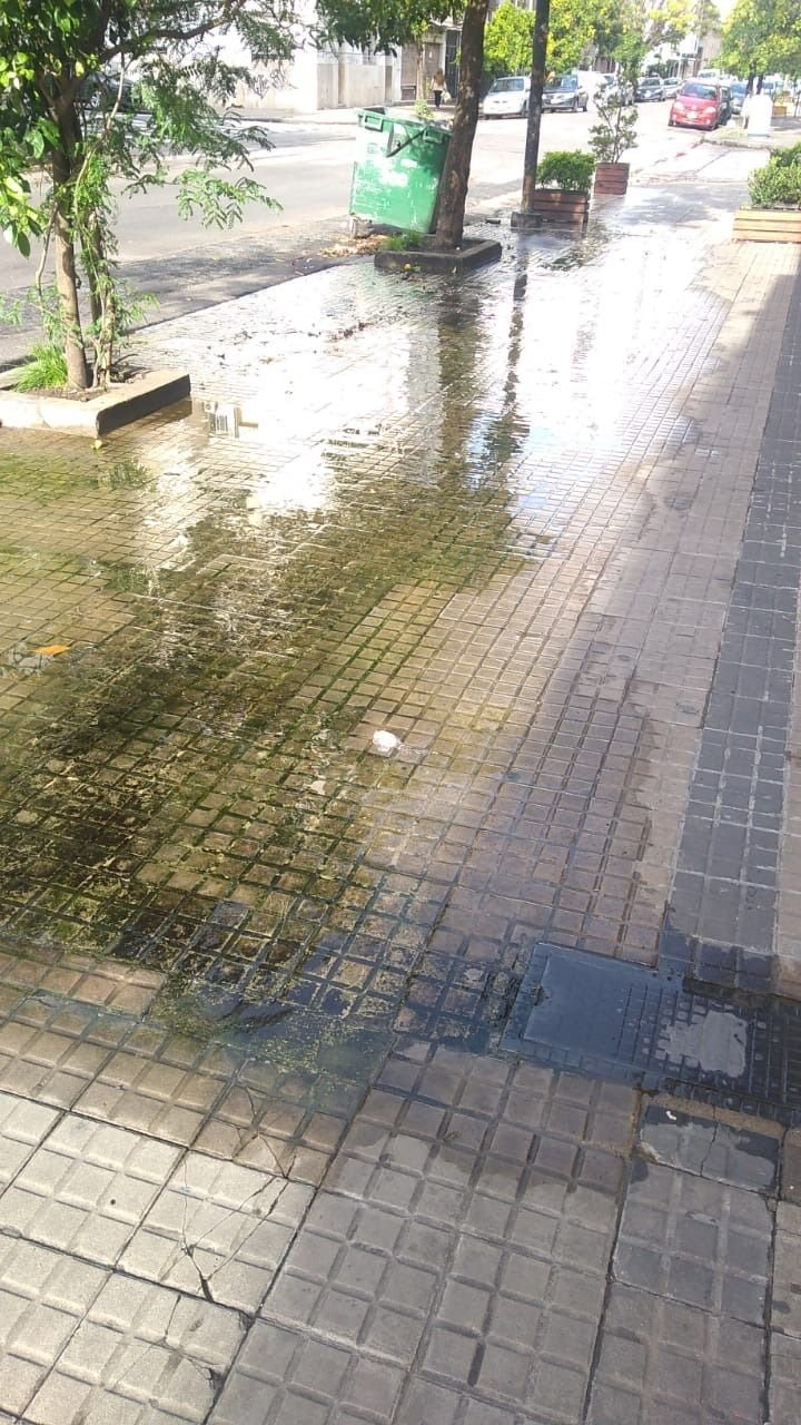 Piden arreglo de peligrosa filtración: "Ya se formó verdín"