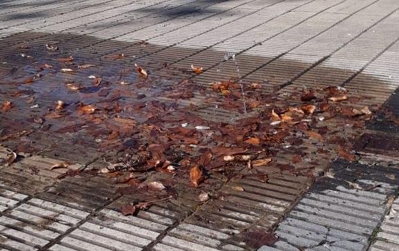 Cañería rota y falta de agua sobre la diagonal 83