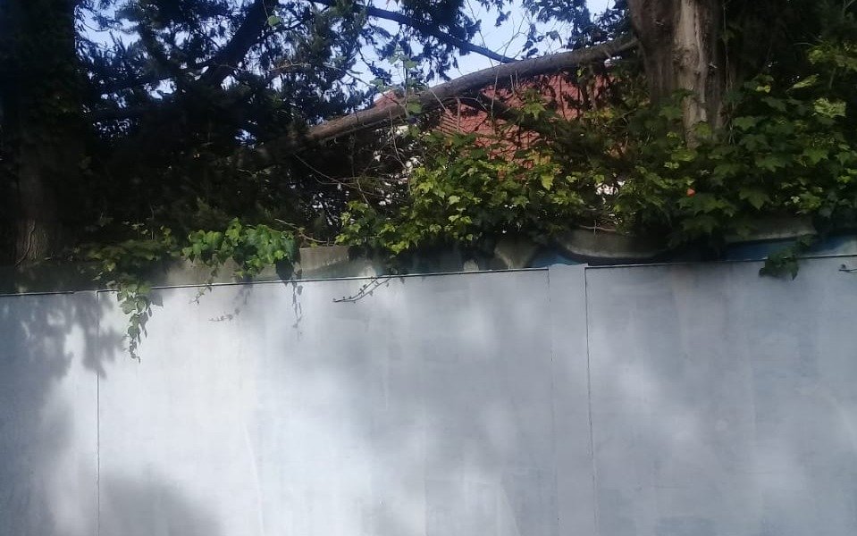 Ratas, cucarachas y mosquitos viven en un hotel abandonado y enloquecen a los vecinos