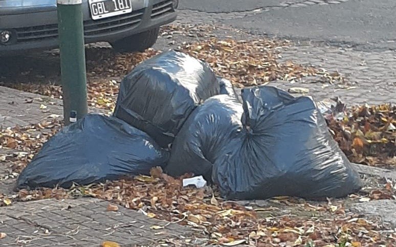 En 4 y 66 "ni barrido ni recolección"