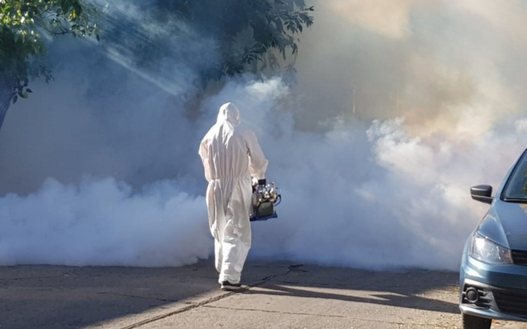El dengue, la otra amenaza sanitaria en la Ciudad: con 134 casos, refuerzan tareas de fumigación