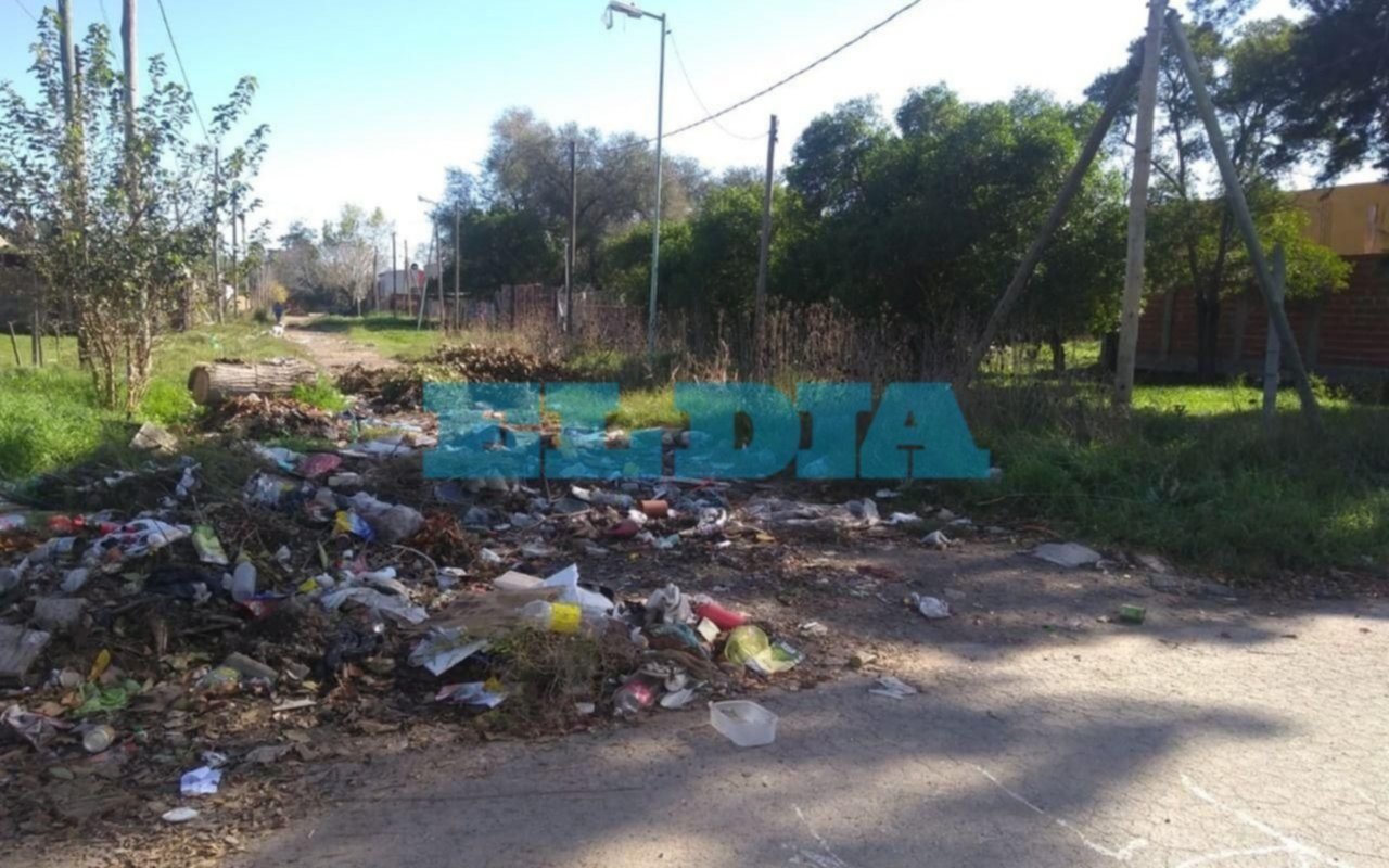 En Villa Elvira, Villa Elisa y Hernández reclaman limpieza de "basurales a cielo abierto"