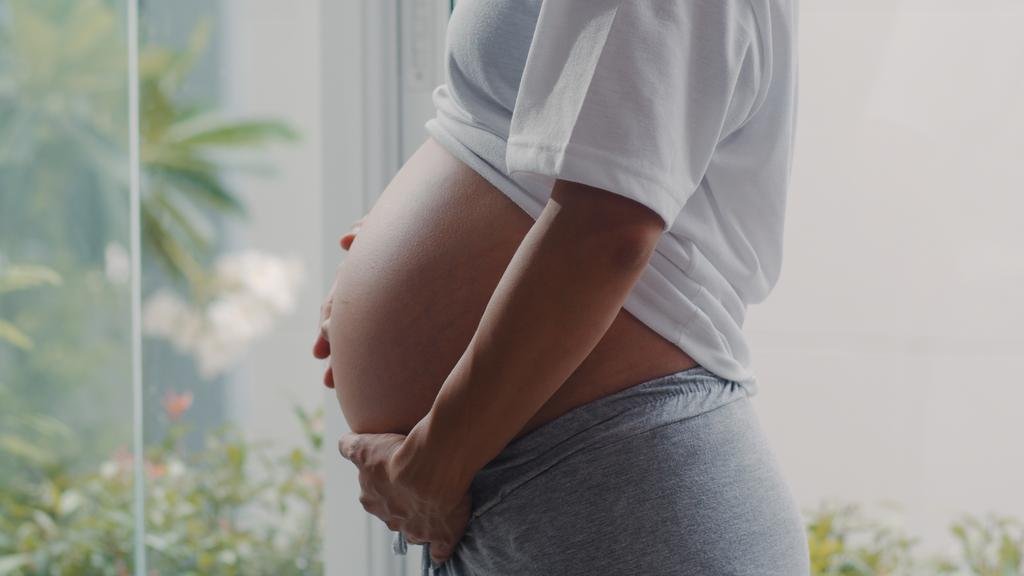 La Justicia platense autorizó que una mujer pueda gestar al hijo de su hermana