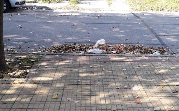 Siguen las quejas de los platenses por  el servicio de barrido y limpieza