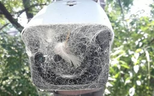 Reparan cámaras en mal estado