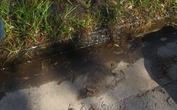 Combo en Los Hornos: pérdida de agua, baja presión y mosquitos