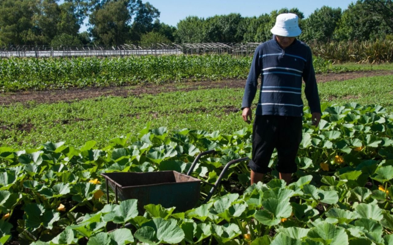 Siembran 140 kilos de verduras en la cárcel de Gorina y los donan a comedores platenses