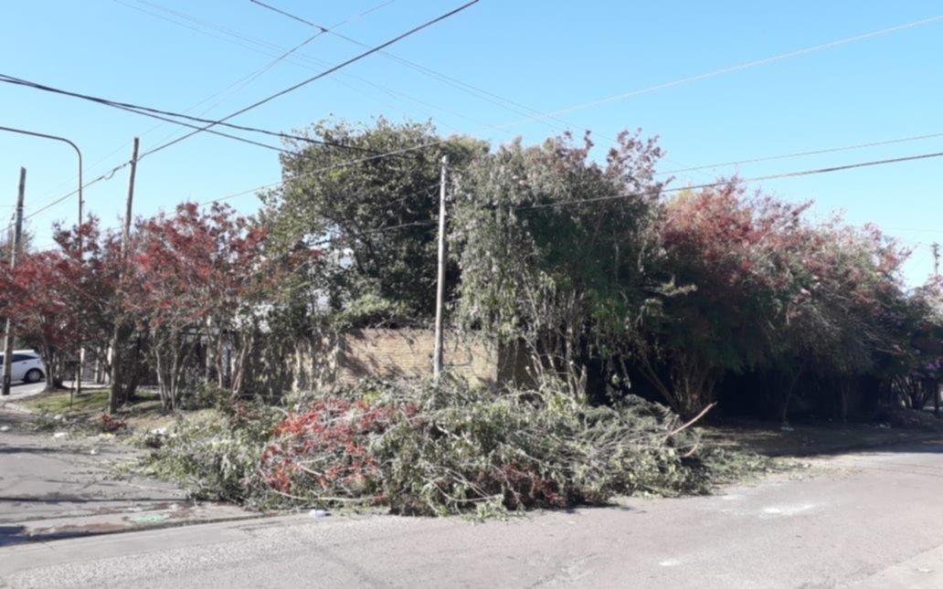 En Villa Elvira sacaron ramas a la calle y enseguida se hizo un basural