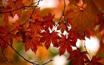 Volver al futuro: otra mañana invernal en pleno otoño