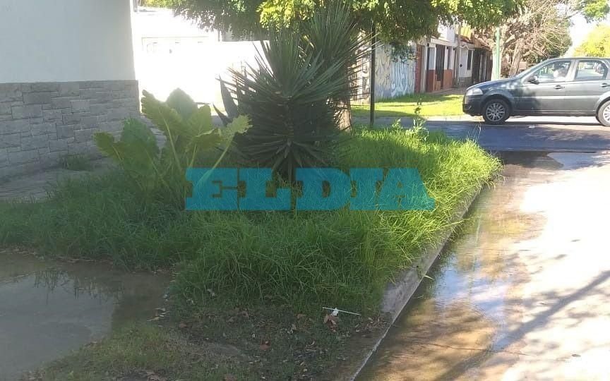 Una pérdida de agua inunda una vereda en Tolosa y genera baja presión