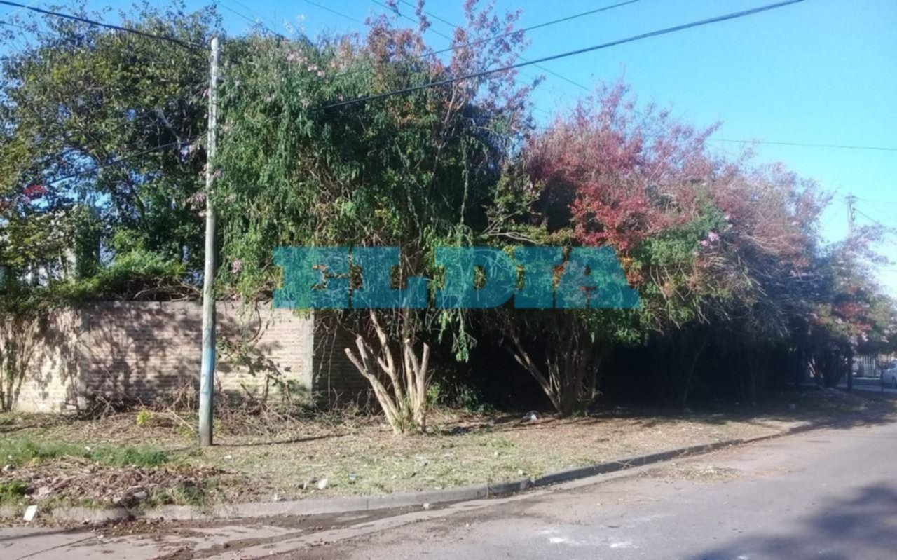 Tras una limpieza de ramas, en una esquina de Villa Elvira piden a los vecinos no arrojar basura