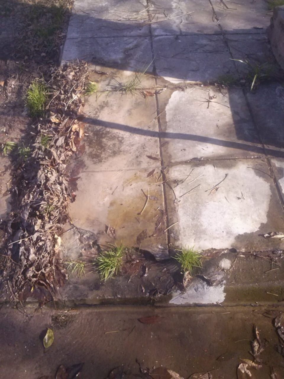 En sector de Villa Elvira, más de tres meses sin agua a causa de una avería